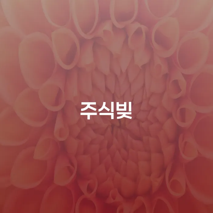 신용카드 연체시 개인회생 제도 비교해보기