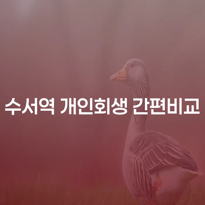 수서역 개인회생 간편비교