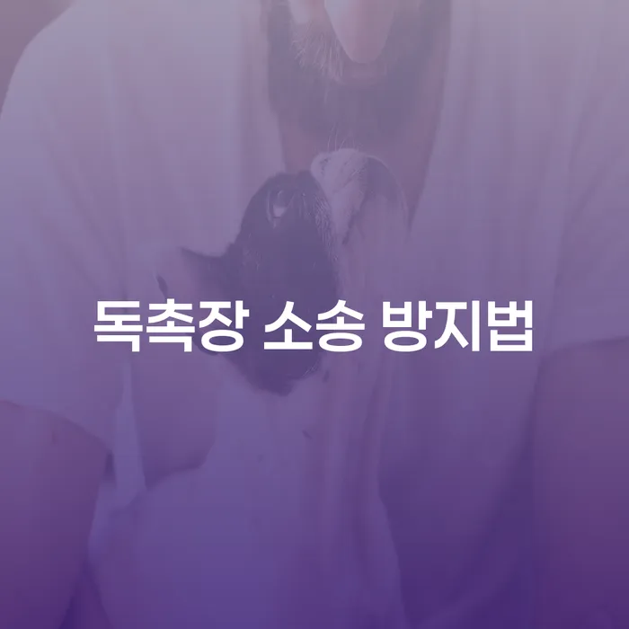 독촉장 소송을 피하는 방법, 어떻게 해야 할까요?