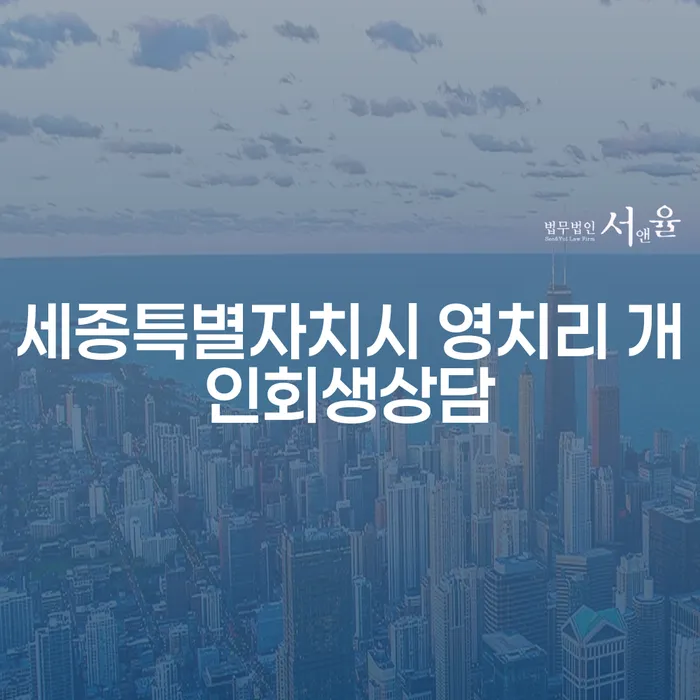 세종특별자치시 영치리 개인회생상담: 어떻게 시작해야 할까요?